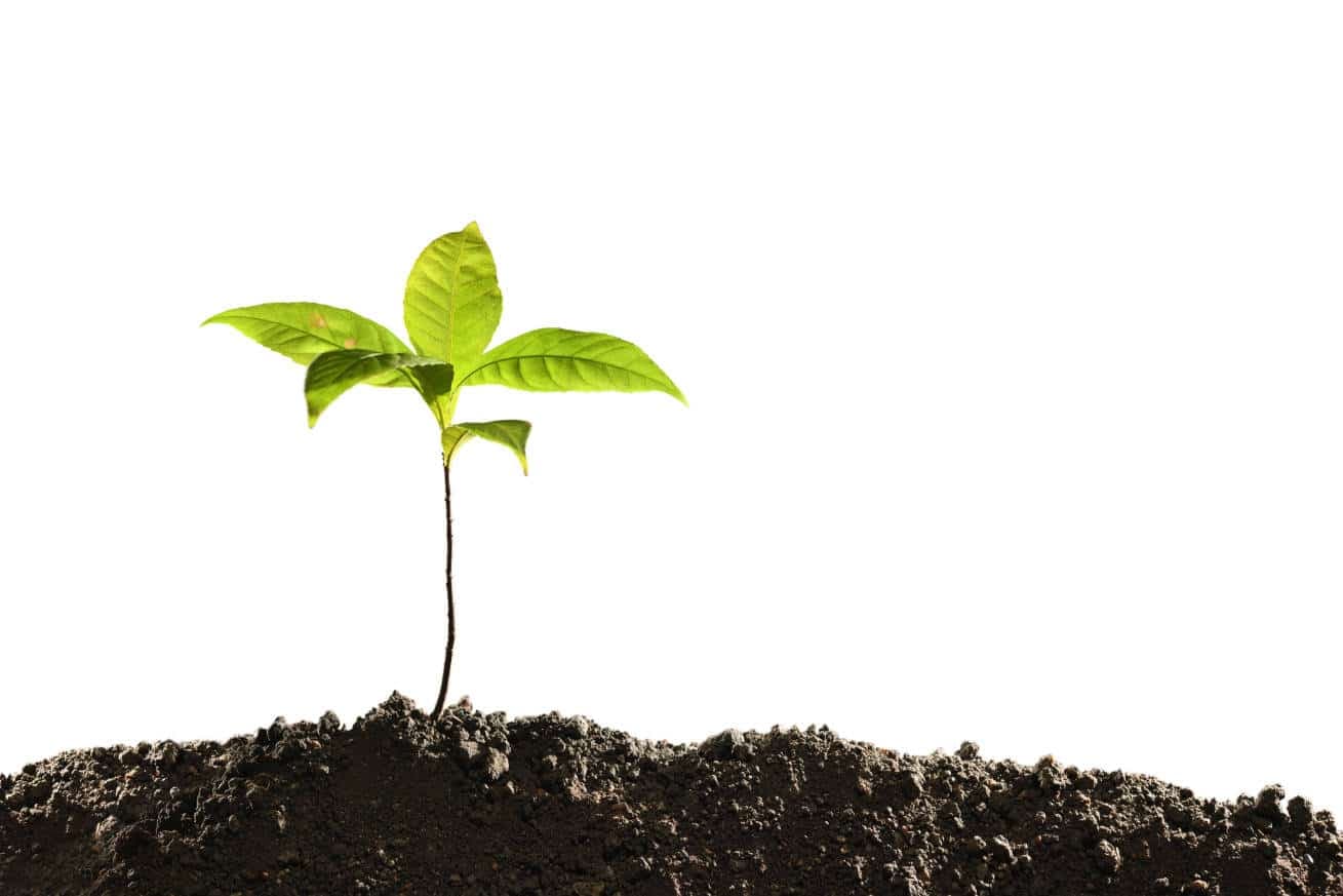 Reliable network and sustainable growth