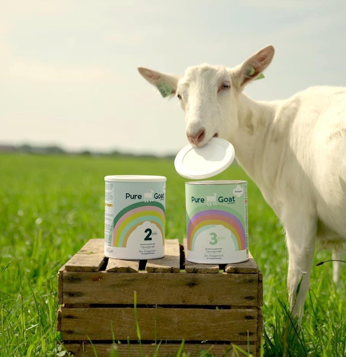 Pure Goat Company product